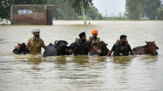Flooded village in Punjab